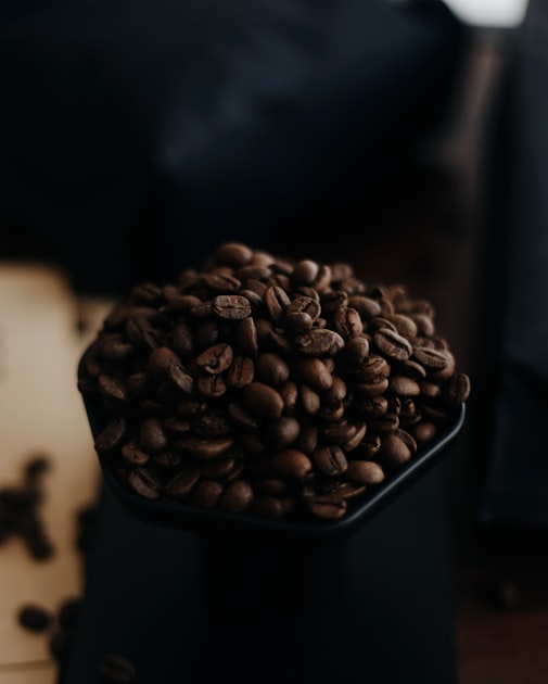 Sustainable Living with Coffee