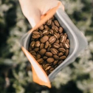 Herbal Tea Infusion
